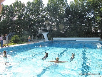 Zwemmen in zwembad De Rijd met Aiki aan de ene kant en zoon Hector aan de andere kant